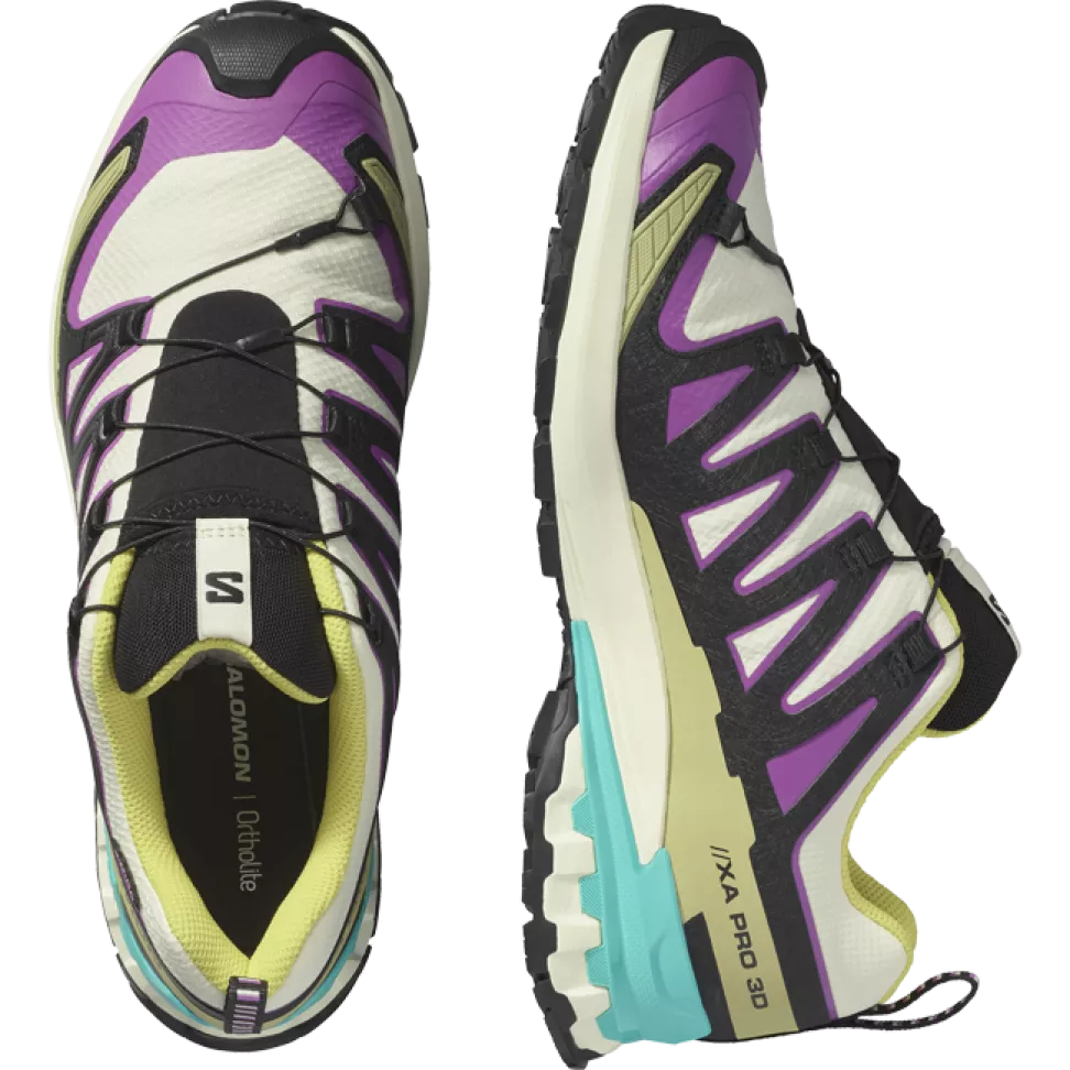Кроссовки Salomon XA PRO 3D V9 GTX муж. разноцветный