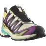 Кроссовки Salomon XA PRO 3D V9 GTX муж. разноцветный