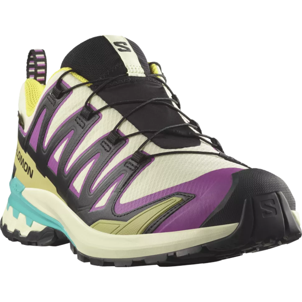 Кроссовки Salomon XA PRO 3D V9 GTX муж. разноцветный