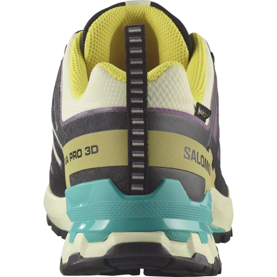 Кроссовки Salomon XA PRO 3D V9 GTX муж. разноцветный