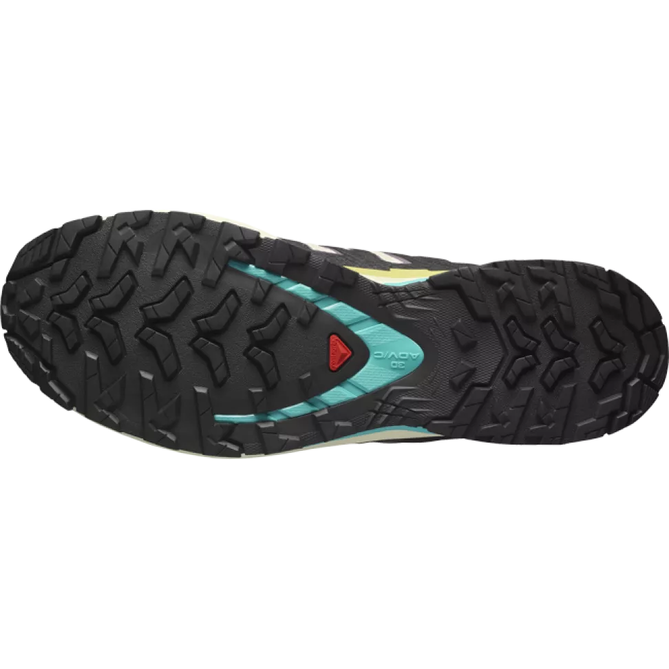 Кроссовки Salomon XA PRO 3D V9 GTX муж. разноцветный