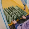 Коврик складной IXPE Naturehike CNK2450WS044, алюминиевая пленка, 195x60х1,8 см, оливковый зеленый