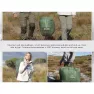 Спальный мешок двухместный с подушками Naturehike CNK2350WS019, зеленый