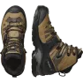 Ботинки Salomon QUEST 4 GTX муж. койот