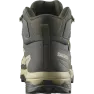 Черевики Salomon X ULTRA 5 MID GTX чол. зелений