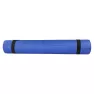 Коврик для фитнеса Stein PVC /голубой / 183x61x0.4 см