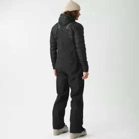 Picture Organic брюки лыжные Testy Bib 2026 black