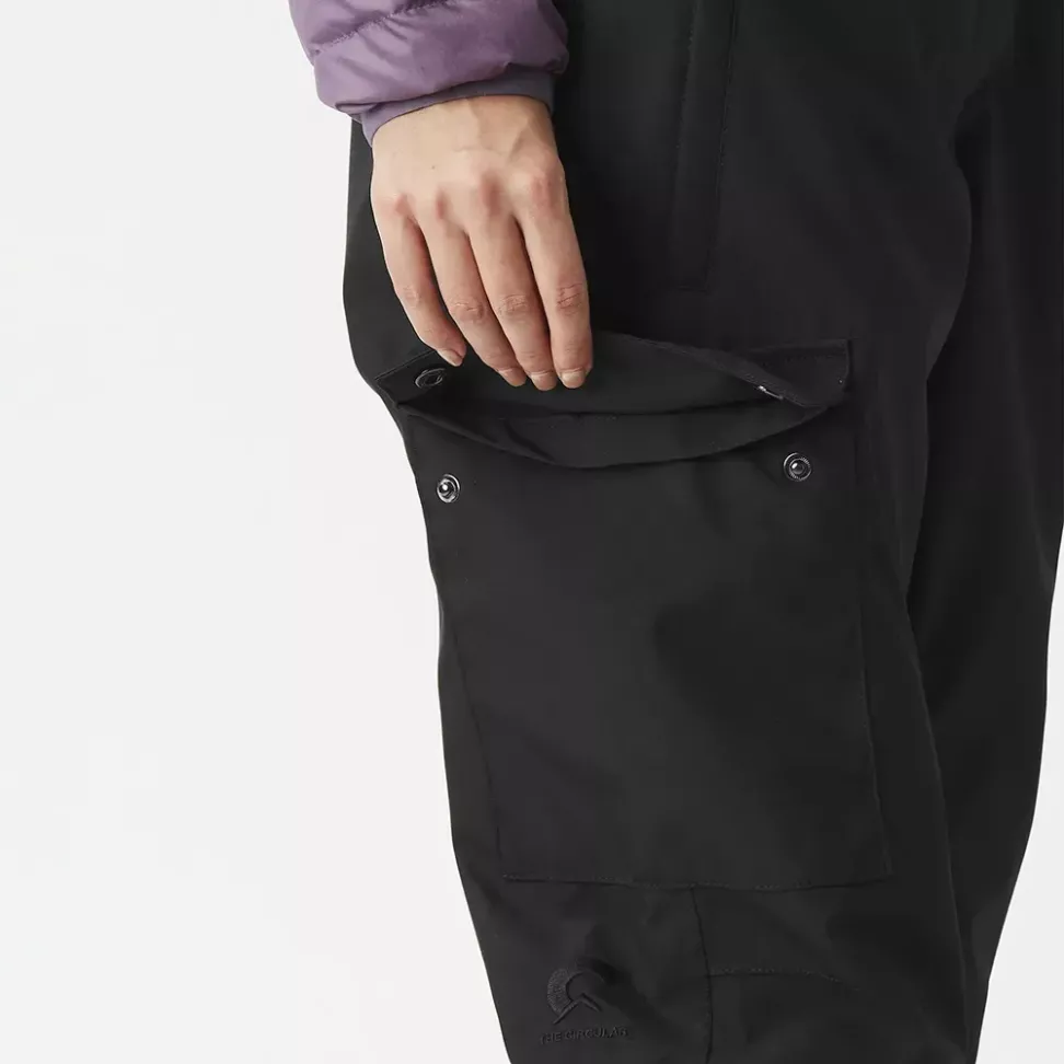 Picture Organic брюки лыжные Brita Bib W 2026 black