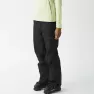 Picture Organic брюки лыжные Treva W 2026 black