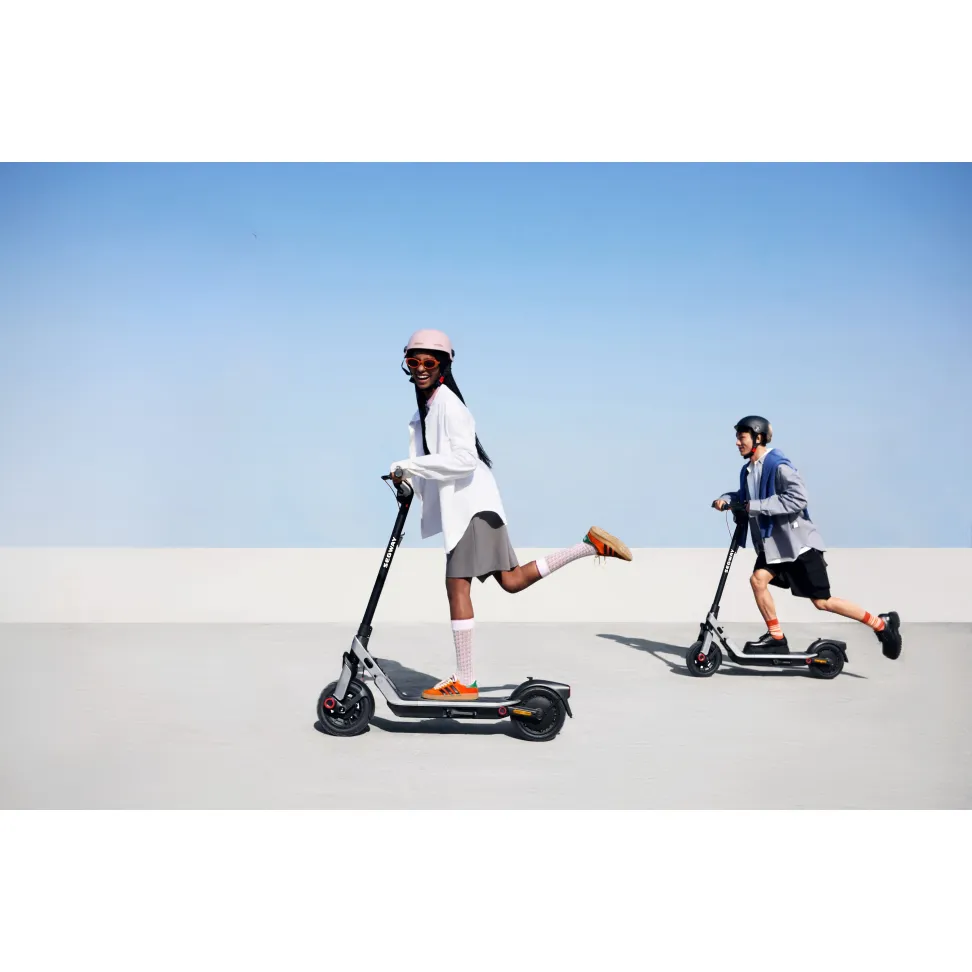 Электросамокат Segway-Ninebot E3 PRO E, серый