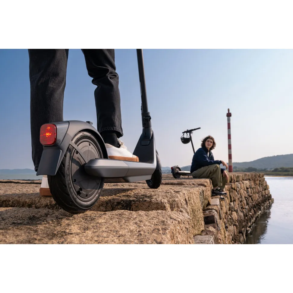 Электросамокат Segway-Ninebot E2 PRO E, черный