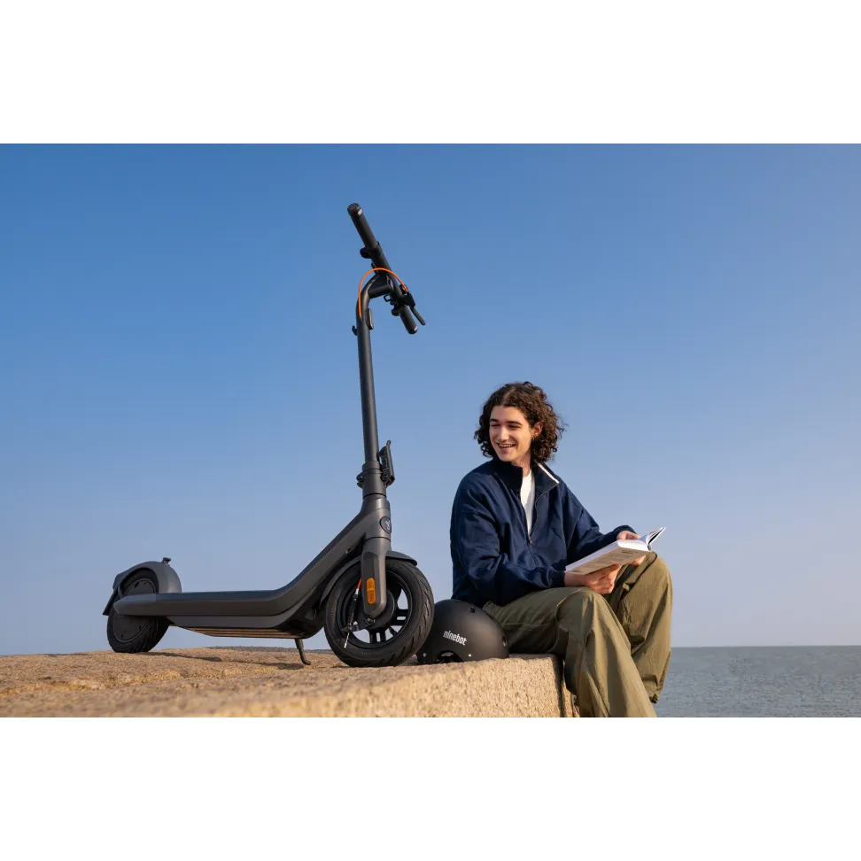 Электросамокат Segway-Ninebot E2 PRO E, черный