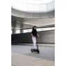 Электросамокат Segway-Ninebot E2 PRO E, черный