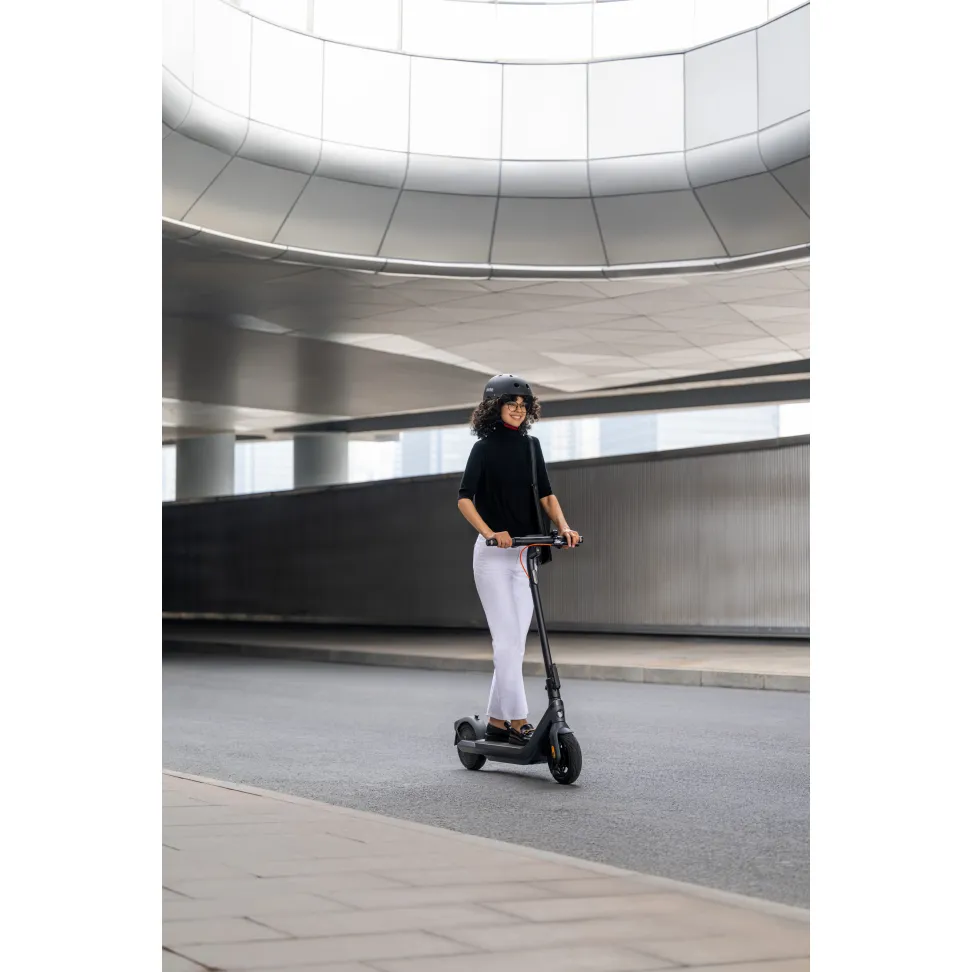 Электросамокат Segway-Ninebot E2 PRO E, черный
