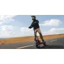 Электросамокат Segway-Ninebot ZT3 PRO E, черный