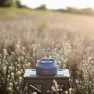 Чайник Tribe Kettle Alu 1 л алюминиевый