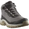Черевики Salomon SHELTER WP W жін. сірий