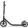 Frenzy самокат 250 mm Recreational black