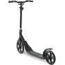Frenzy самокат 250 mm Recreational black