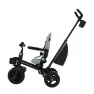 Триколісний велосипед Kinderkraft Aveo 2 Plus Green