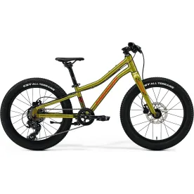 Велосипед 20" Merida MATTS J. 20 Plus (2025) fall green