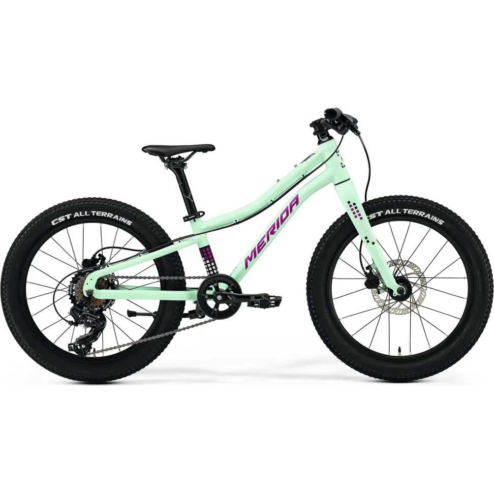 Велосипед 20" Merida MATTS J. 20 Plus (2025) matt mint