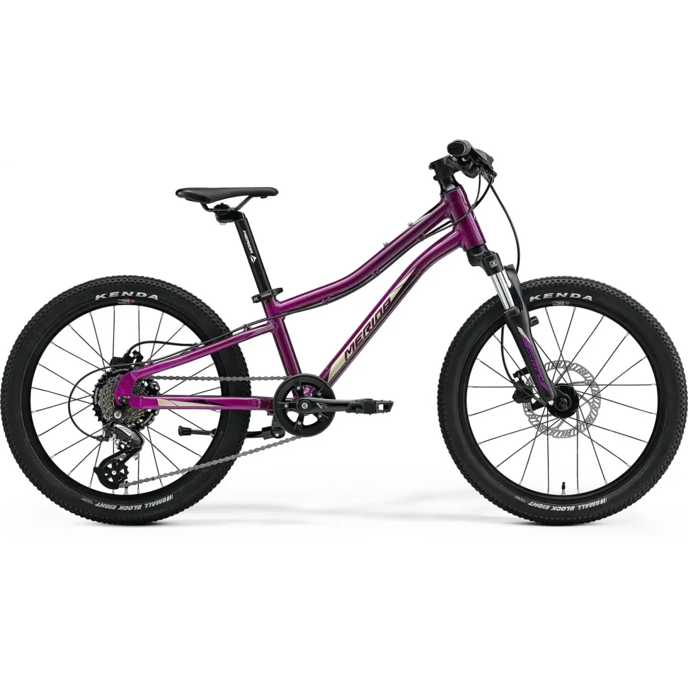 Велосипед 20" Merida MATTS J.20 (2023) purple