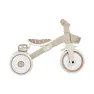 Велосипед детский GLOBBER серии LEARNING TRIKE 2в1 PLUS, кокос, до 20кг, 3 колеса