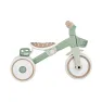 Велосипед дитячий GLOBBER серії LEARNING TRIKE 2в1 PLUS, фісташковий, до 20кг, 3 колеса