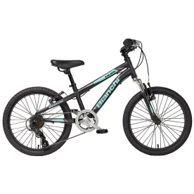 Велосипед Bianchi Duel 20 Boy (Black/Celeste Matte)
