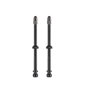 Вентиль Schwalbe для безкамерних ободів, 100mm (2 шт)