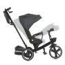 Трехколесный велосипед El Camino Vector ME 1162-1 Black