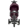 Трехколесный велосипед El Camino Vector ME 1162-1 Purple