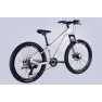 Велосипед AL 24" Formula THOR DD CS рама-12" белый с розовым 2026
