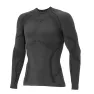 Набор мужская термофутболка с длинным рукавом Accapi Ergowool, Iron/Black