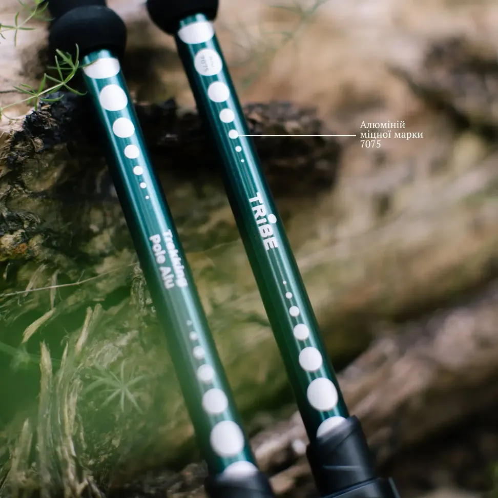 Треккинговые палки Tribe Trekking Pole Alu T-ME-0026-ocean