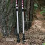 Треккинговые палки Tribe Z-Pole Alu T-ME-0024-plum