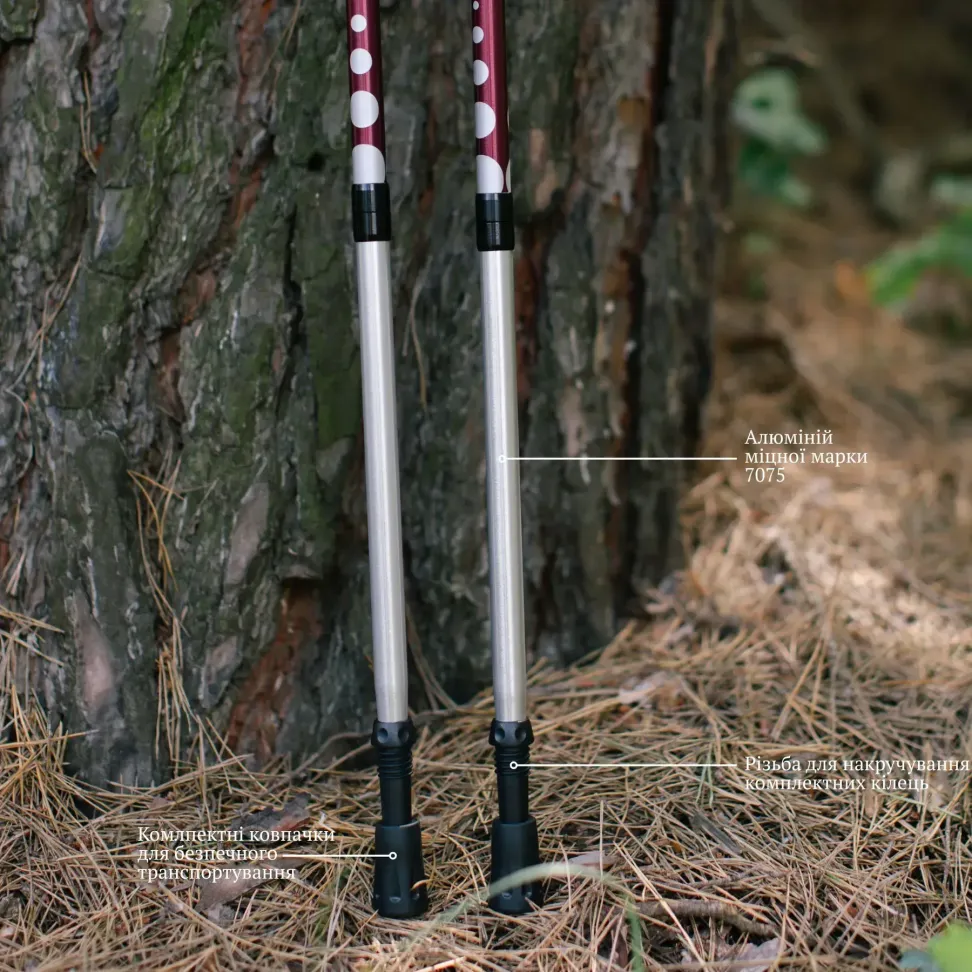 Треккинговые палки Tribe Z-Pole Alu T-ME-0024-plum