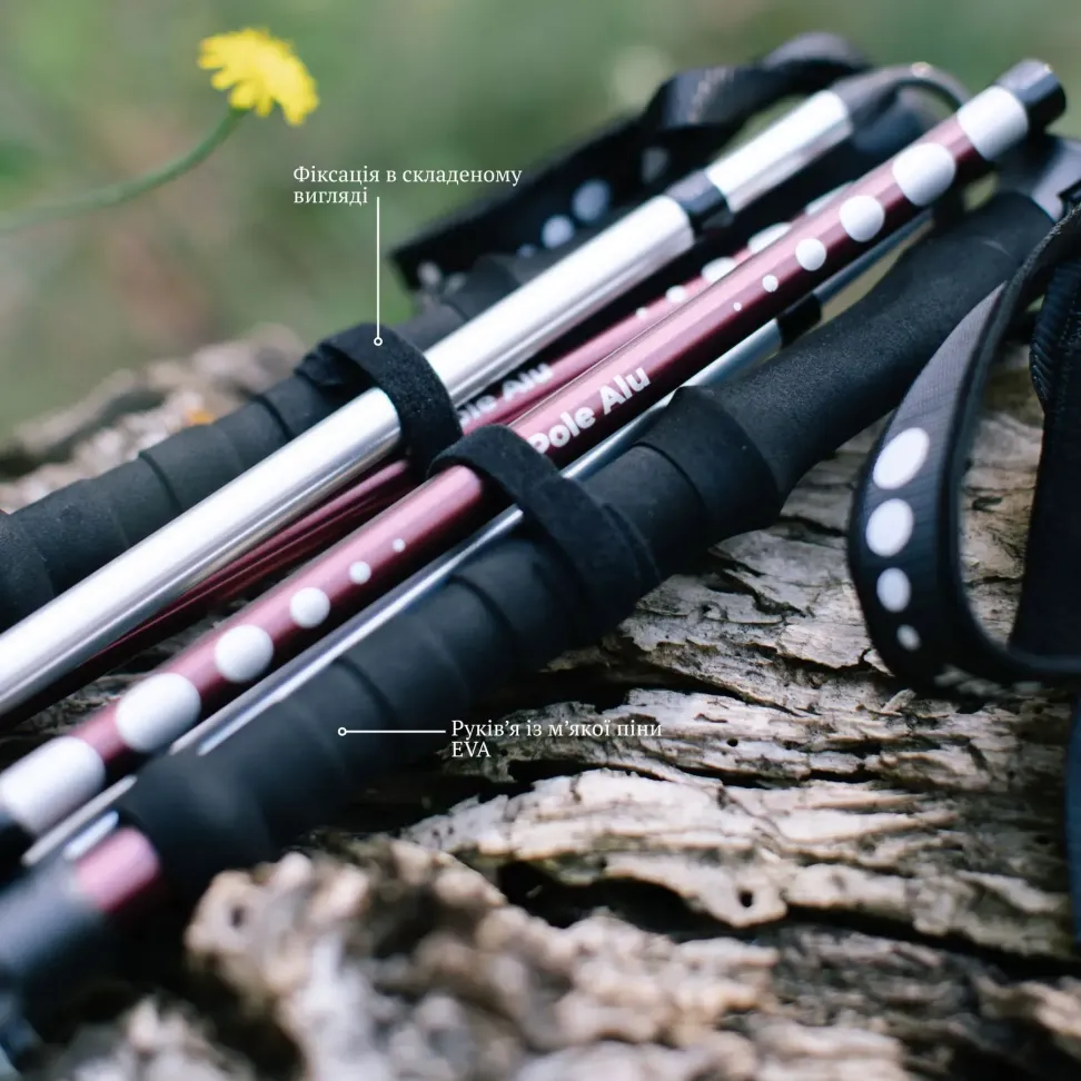 Треккинговые палки Tribe Z-Pole Alu T-ME-0024-plum