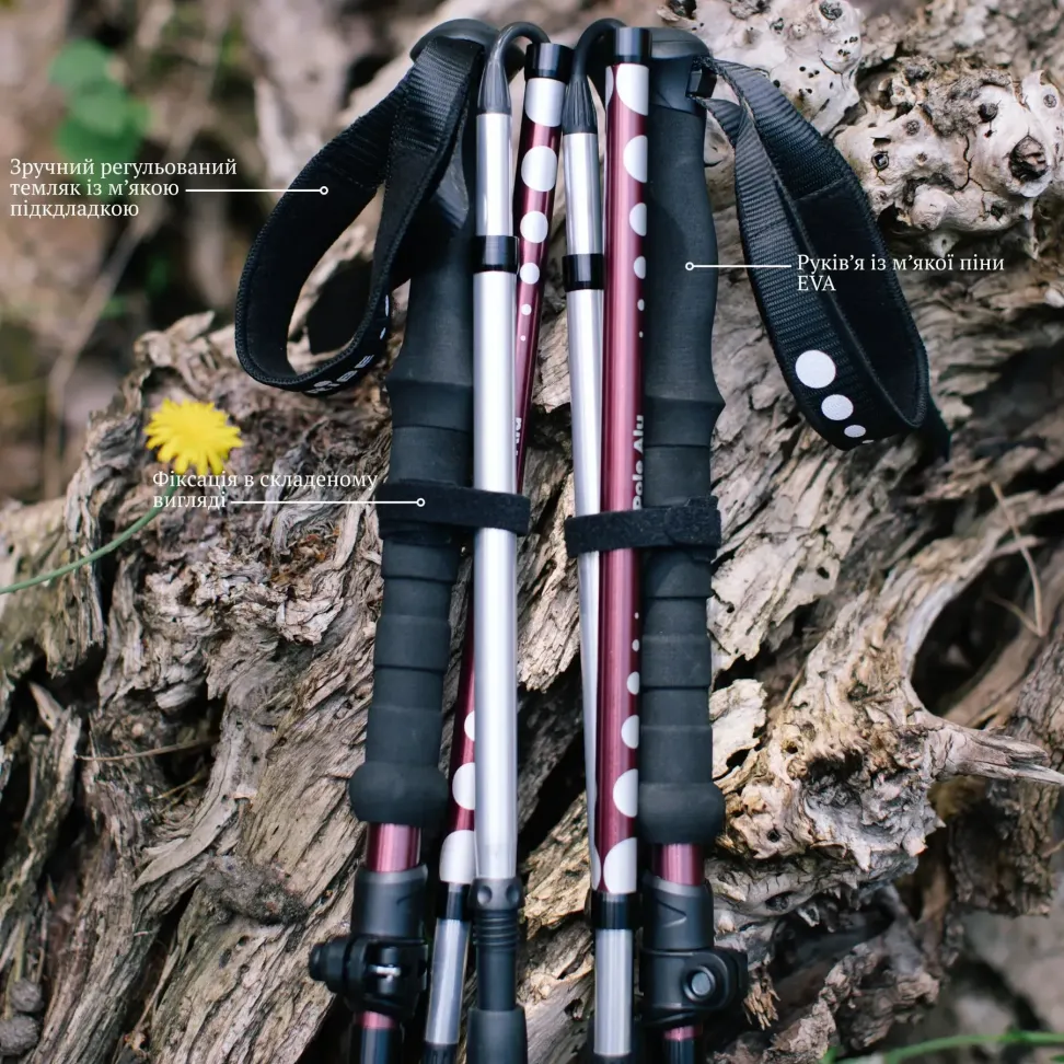 Треккинговые палки Tribe Z-Pole Alu T-ME-0024-plum