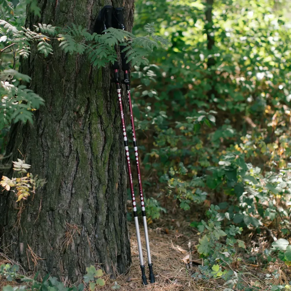 Треккинговые палки Tribe Z-Pole Alu T-ME-0024-plum