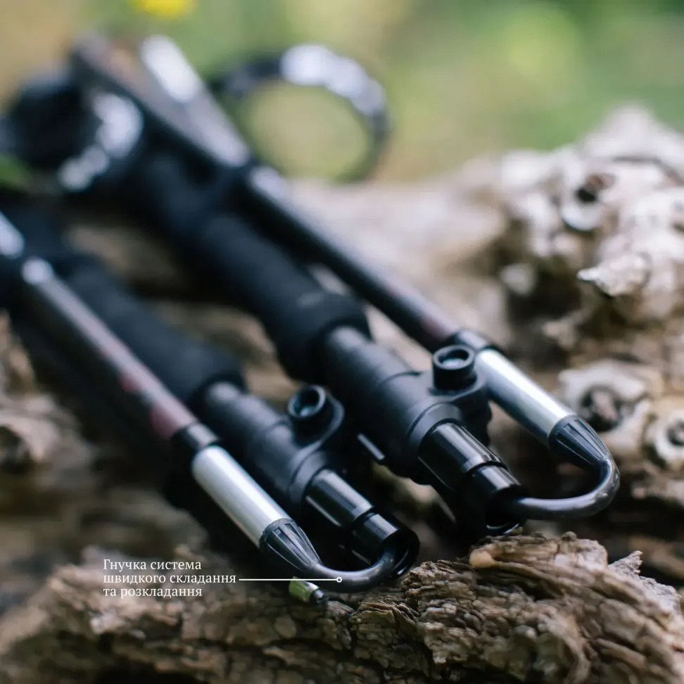Трекінгові палиці Tribe Z-Pole Carbon T-ME-0025-plum