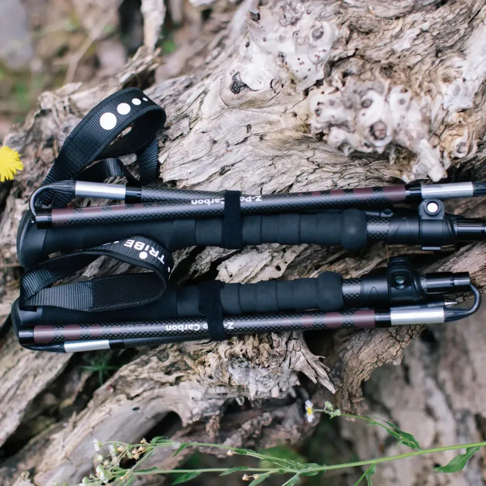 Трекінгові палиці Tribe Z-Pole Carbon T-ME-0025-plum
