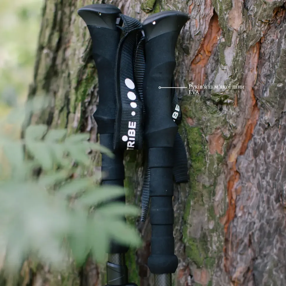 Трекінгові палиці Tribe Z-Pole Carbon T-ME-0025-plum