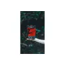 Система для приготовления пищи Fire Maple X5 Polaris, Red, 1 л (FM X5r)